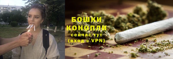 2c-b Ельня