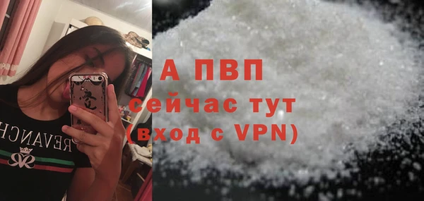 2c-b Ельня