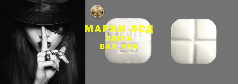 2c-b Ельня