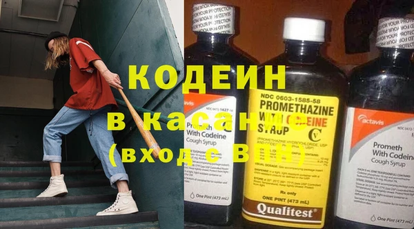 2c-b Ельня