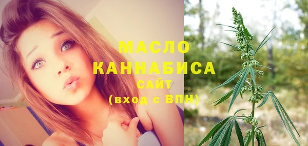 2c-b Ельня