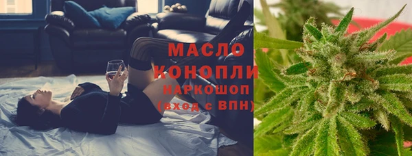 2c-b Ельня