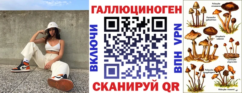 MEGA tor  Зарайск  Псилоцибиновые грибы Psilocybine cubensis 